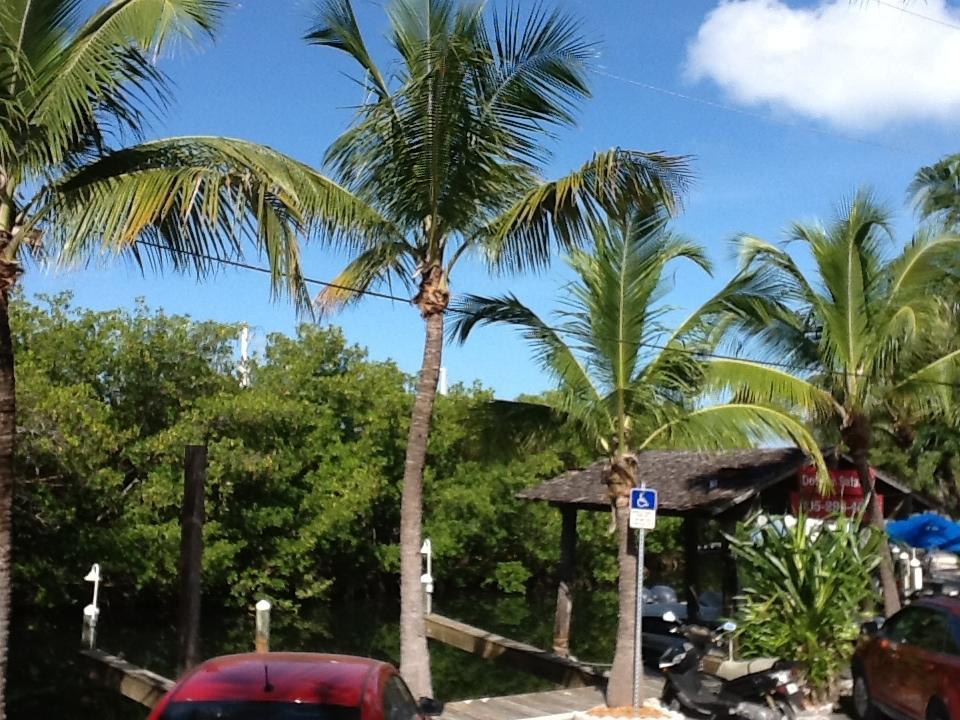 Banana Bay Resort (Adults Only) Cayo Hueso Exterior foto